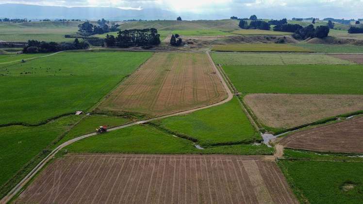 399 Cowper Road Dannevirke_24