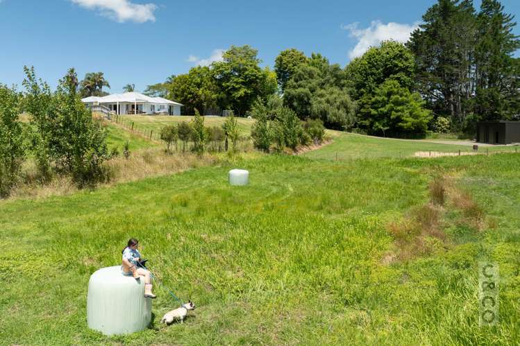 43 Awatiro Drive Kaukapakapa_45