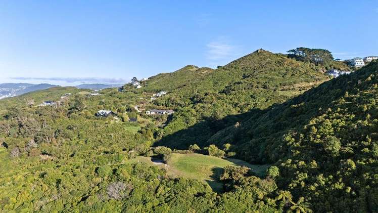 221 Glanmire Road Newlands_10