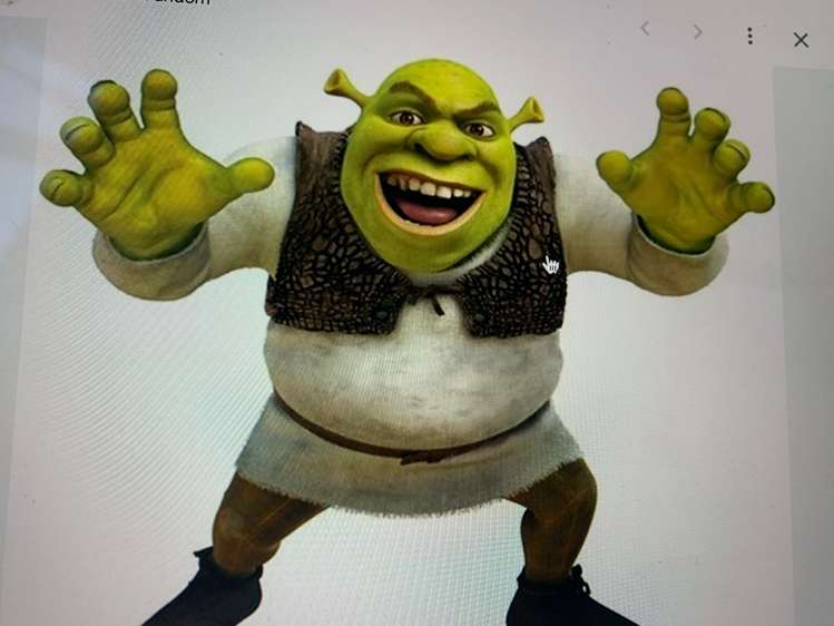 522 Leith Street North Dunedin_6