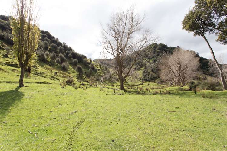 820 Rangitatau West Road Waitotara_19