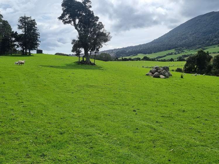 Tahakopa Valley Road Catlins Surrounds_5