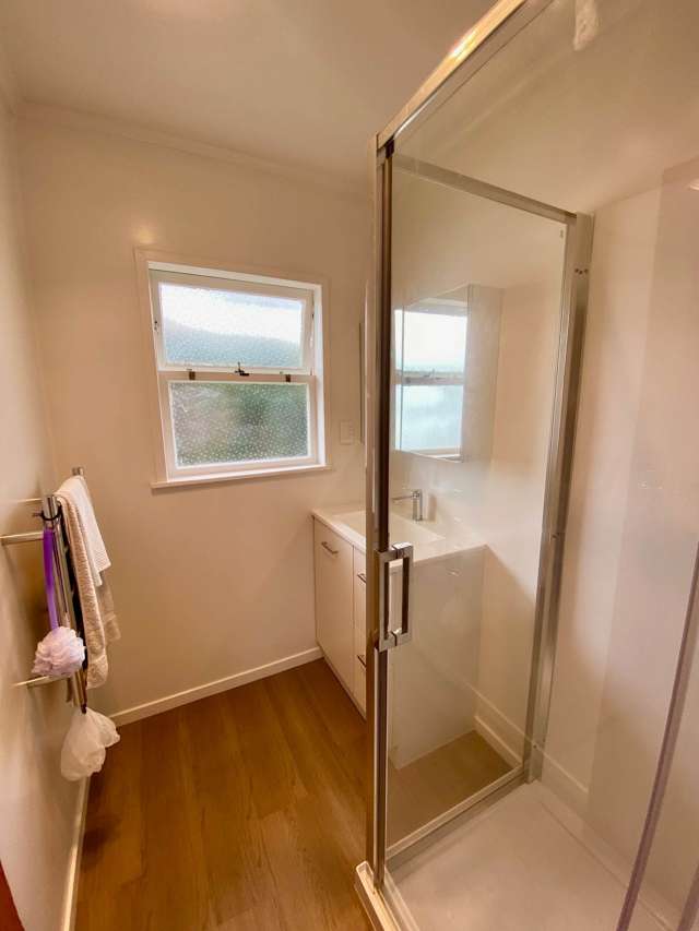 3/25 Clarke Road Onehunga_4