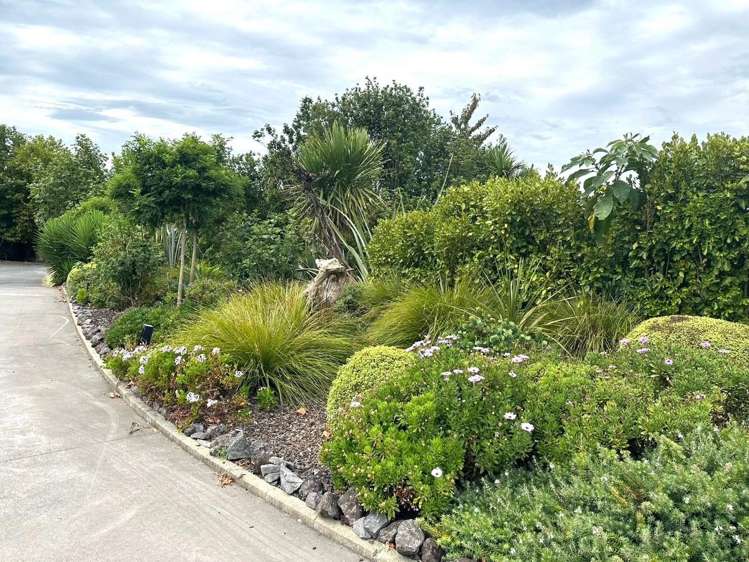 19 Riverglen Drive Paihia_6