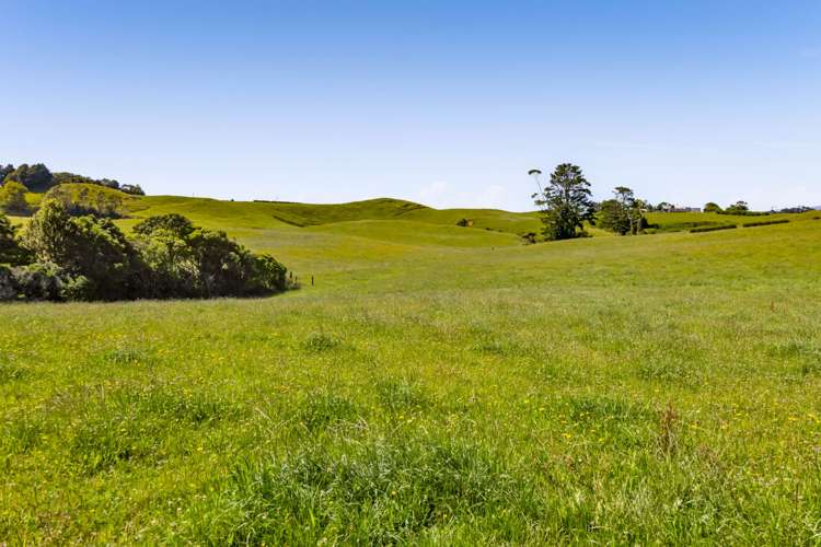 Upland Road Egmont Village_17