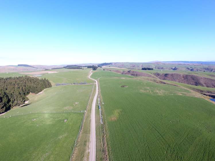 659 Ritchie Road Dunback_5