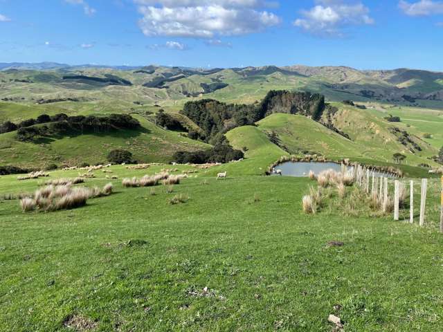 Breeding and finishing 305ha