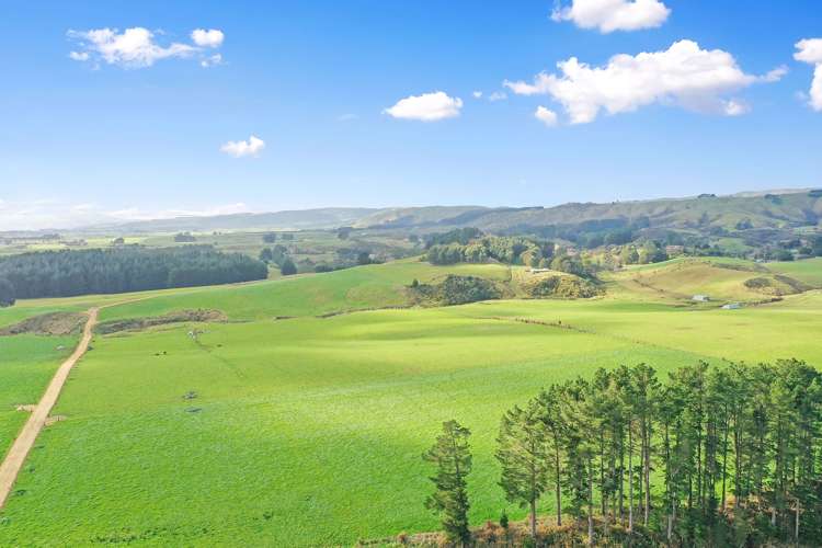 312 Hewitts Road Linton_8