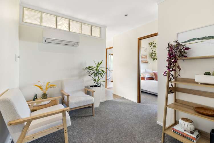 420 Hillsborough Road Mount Roskill_30