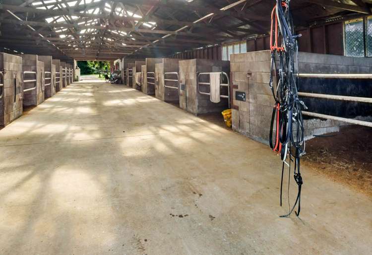 27 Royal Doulton Drive Pukekohe_6