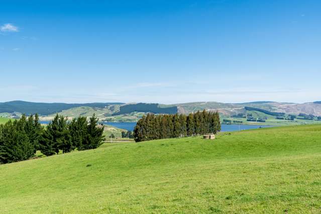 Waihola Hill Road Clarendon_1