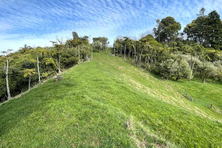 85 Te Raumauku Road Otorohanga_41