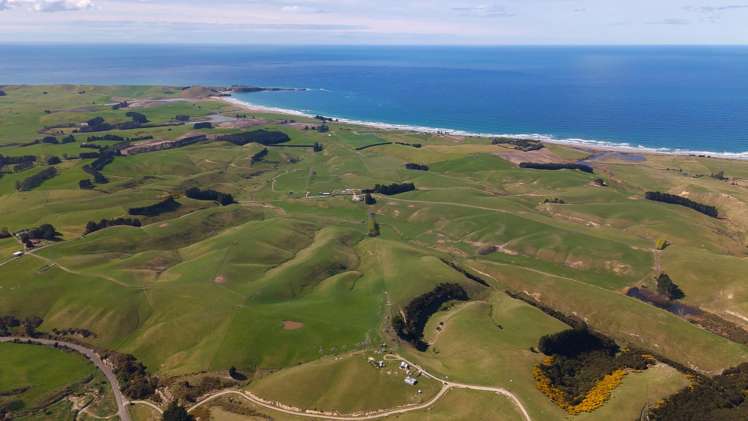 137 McLeods Road Palmerston_25