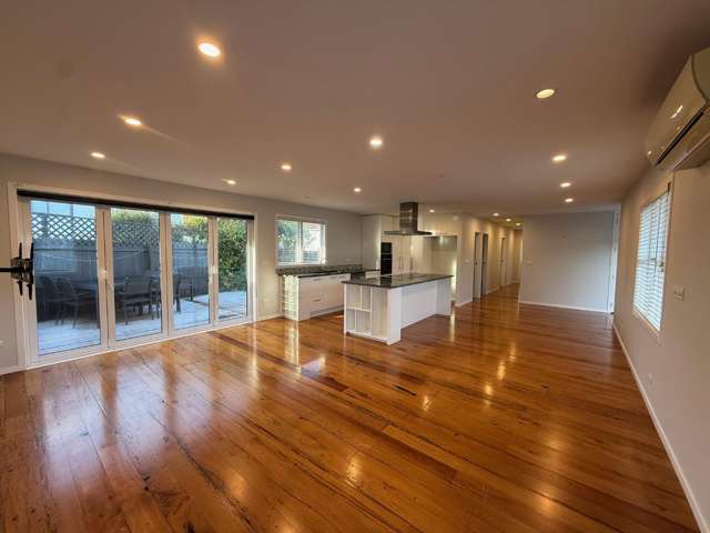 102 Owairaka Avenue Mount Albert_1