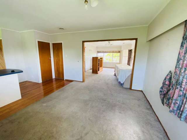 18 Williams Avenue Pakuranga_2