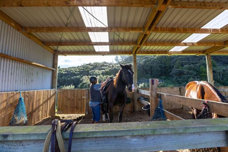 719 Waikare Road Kawakawa_26