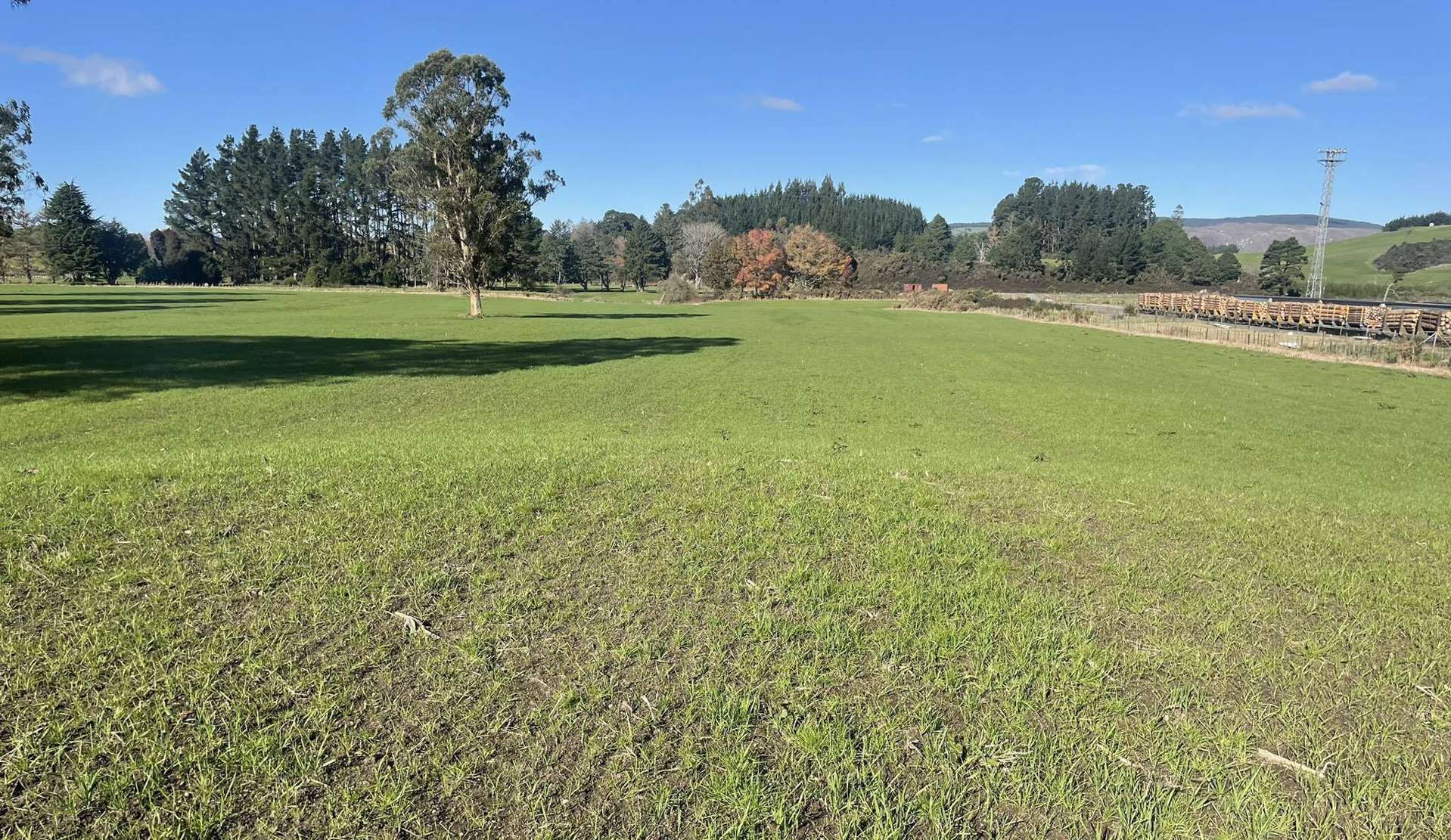 State Highway 1 Kinleith_0