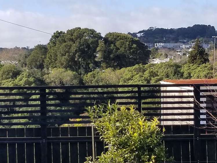 4/1594 Great North Road Waterview_13