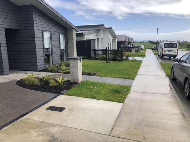 15 Harp Street 10767_1