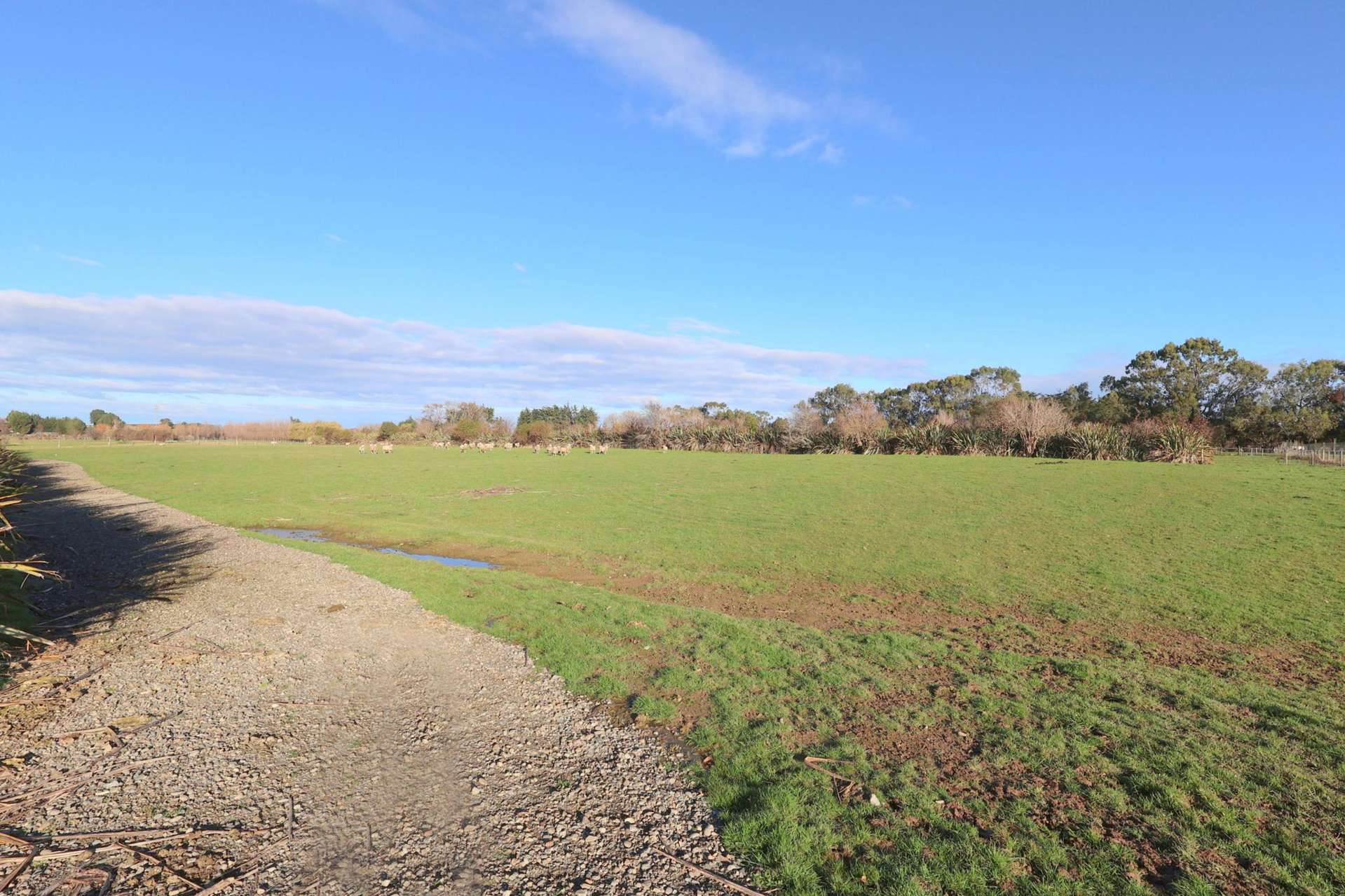 Lot 4/510 Flora Road East Makarewa_0