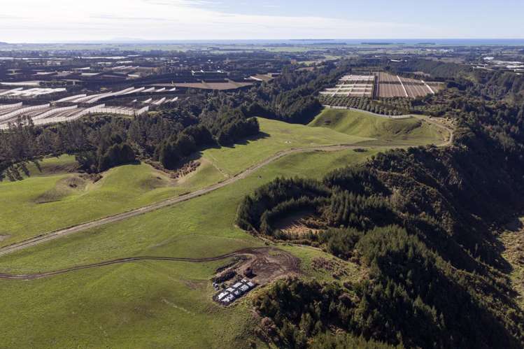852 Rangiuru Road Rangiuru_12