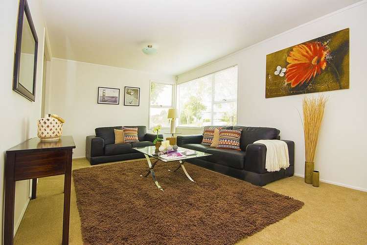 351 Roscommon Road Clendon Park_8