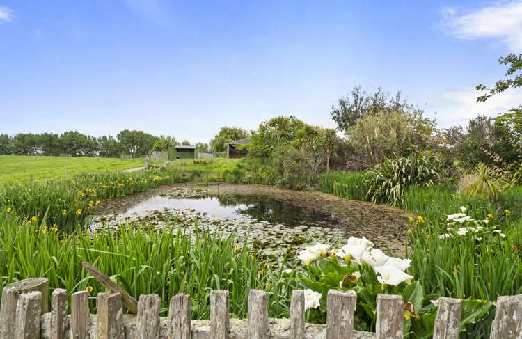 117 Te Rakehou Road Feilding_25