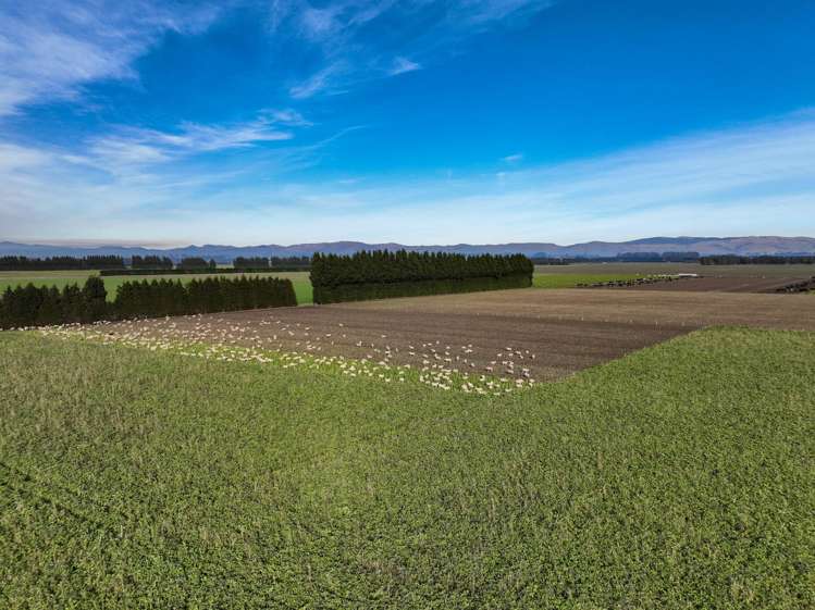 Riversdale-Ardlussa Road Riversdale_8