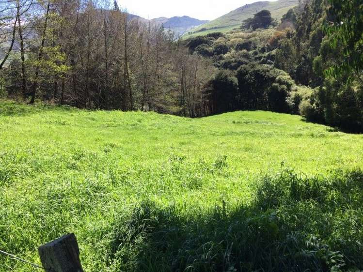 4987 Christchurch Akaroa Road Little River_16