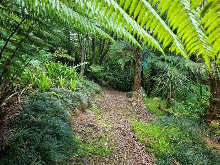 43Z Blue Gum Lane Kerikeri_35