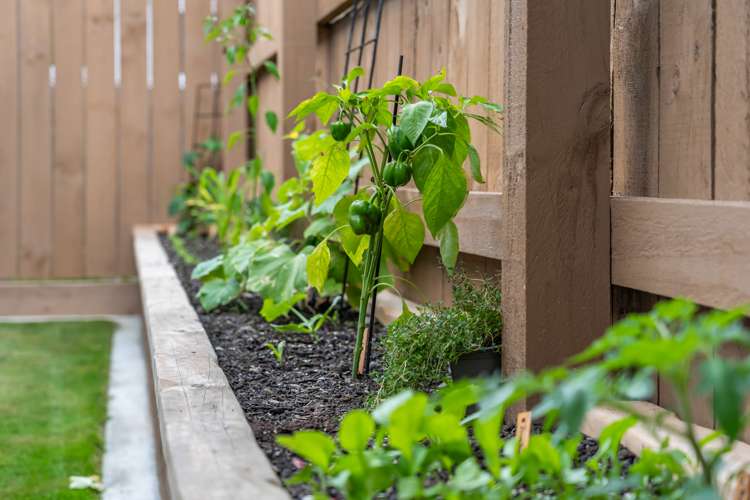 1/47 Gemstone Drive Birchville_23