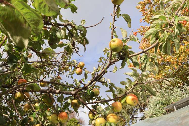 8 High Street Rosedale_44