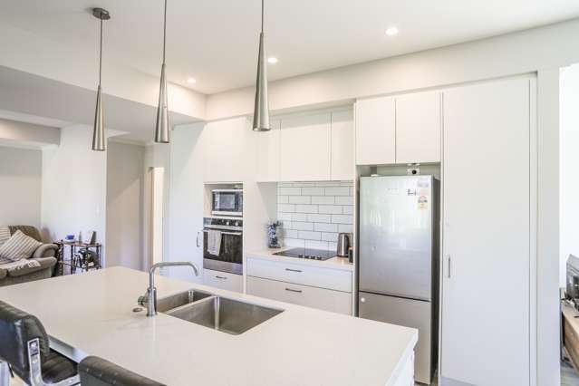 24 Mary-Ellen Place Coromandel_1