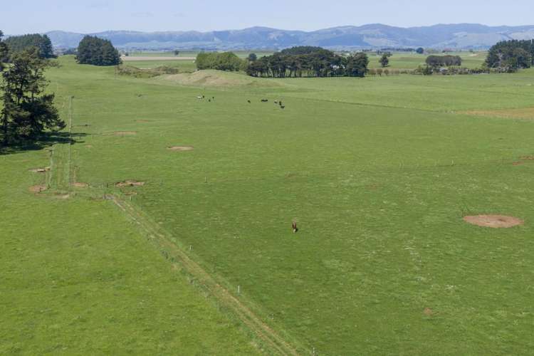 335a Couper Road Glen Oroua_7