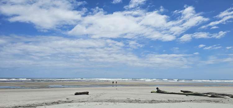 4 Nikau Heights, Little Wanganui Karamea_13