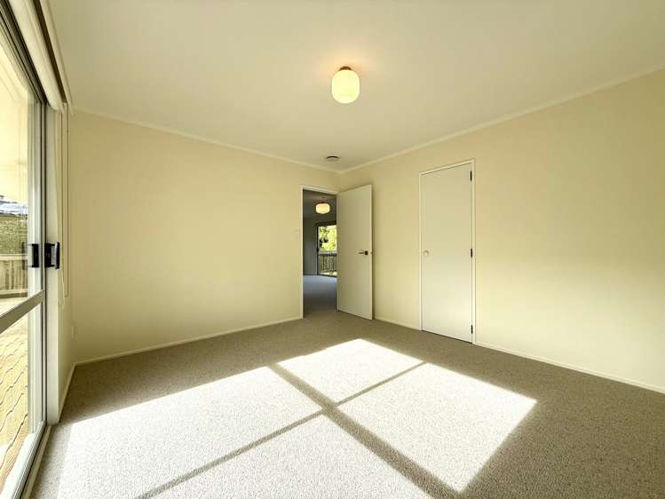 7B Rose Street Raglan_10