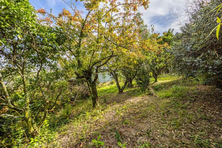 10 Seymour Road Sunnyvale_21