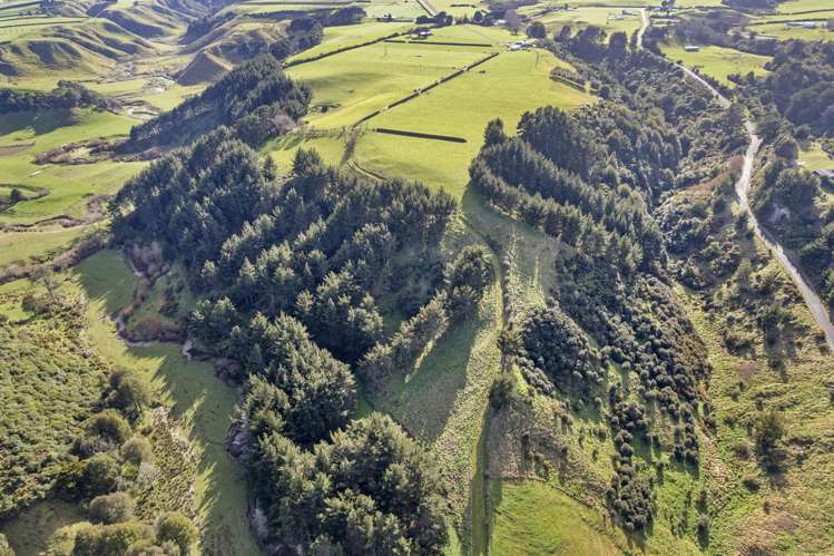 0n Whakamara Road Manutahi_16