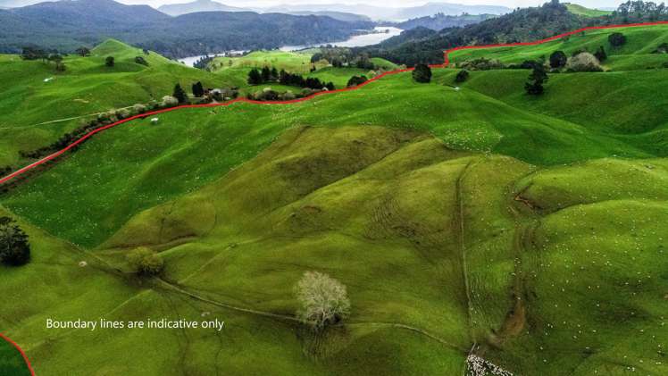 Coates Road Waikite Valley_5