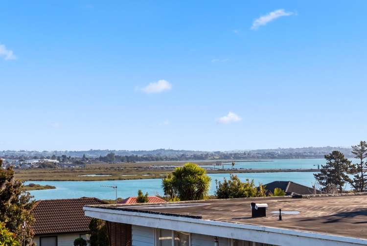 25A Hadfield Avenue Waterview_2