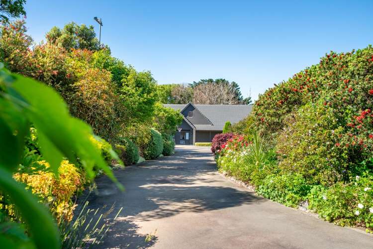 5 Lavinia Grove Waikanae Beach_7