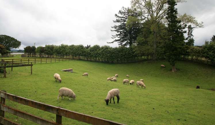 618a Te Matai Road Te Puke_5