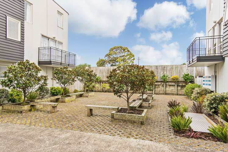 5/6 Islington Avenue New Lynn_18