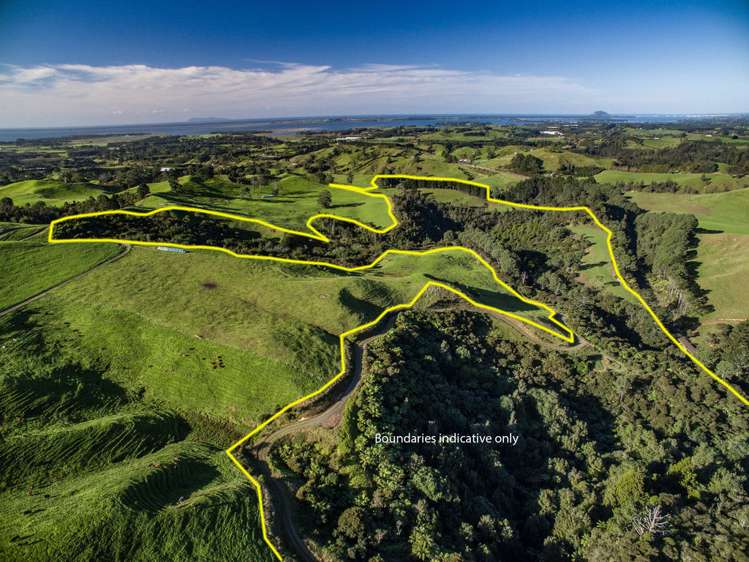 851 Wright Road Aongatete_9