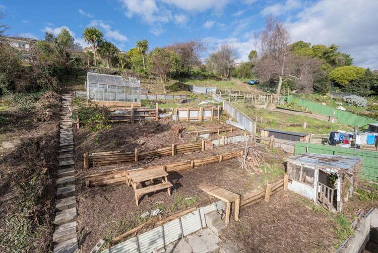 43 Murphy Street Toi Toi_15