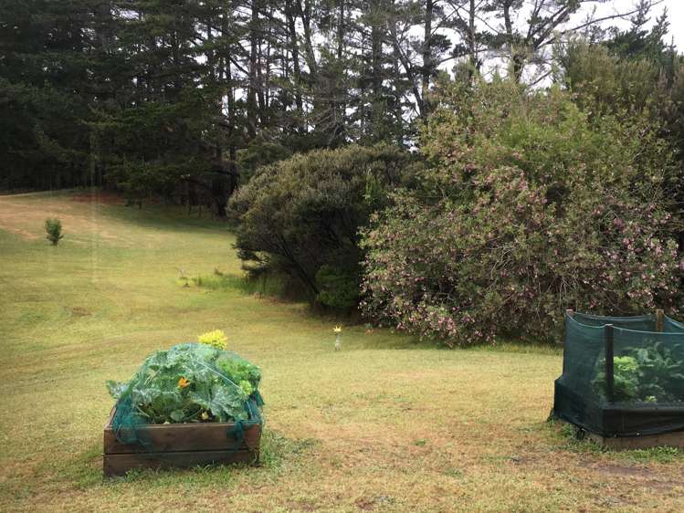 61 Trig Road Houhora_13