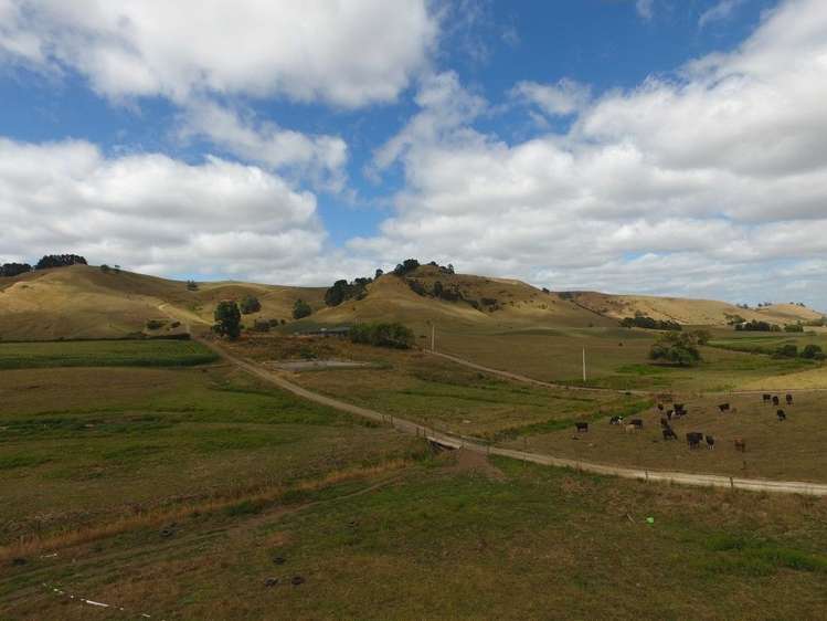 Maratoto Road Hauraki_16
