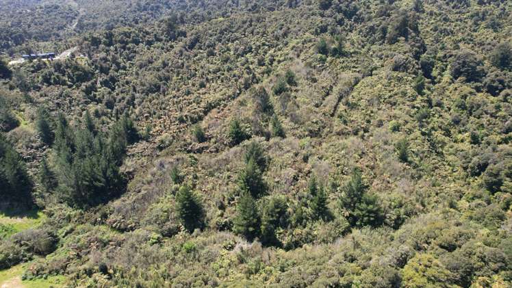 Town Belt East Greymouth_11