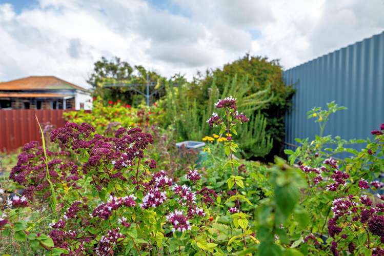 25 Windsor Street Opotiki and Surrounds_20