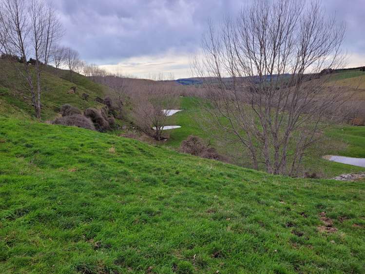 246 Tokarahi-Ngapara Road Five Forks and Surrounds_14